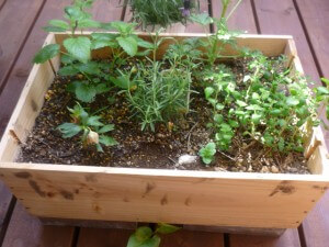 2010_0505_013643-P1010047