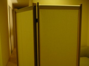 2010_0605_093849-P1010188