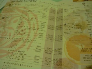 2010_0808_061430-P1010403