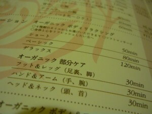 2010_0808_061506-P1010406