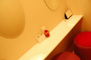 2010_0206_131318-DSC_0248