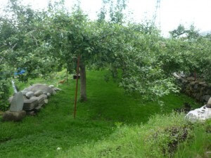 2011_0621_022152-P1020322