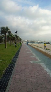 201109161721000