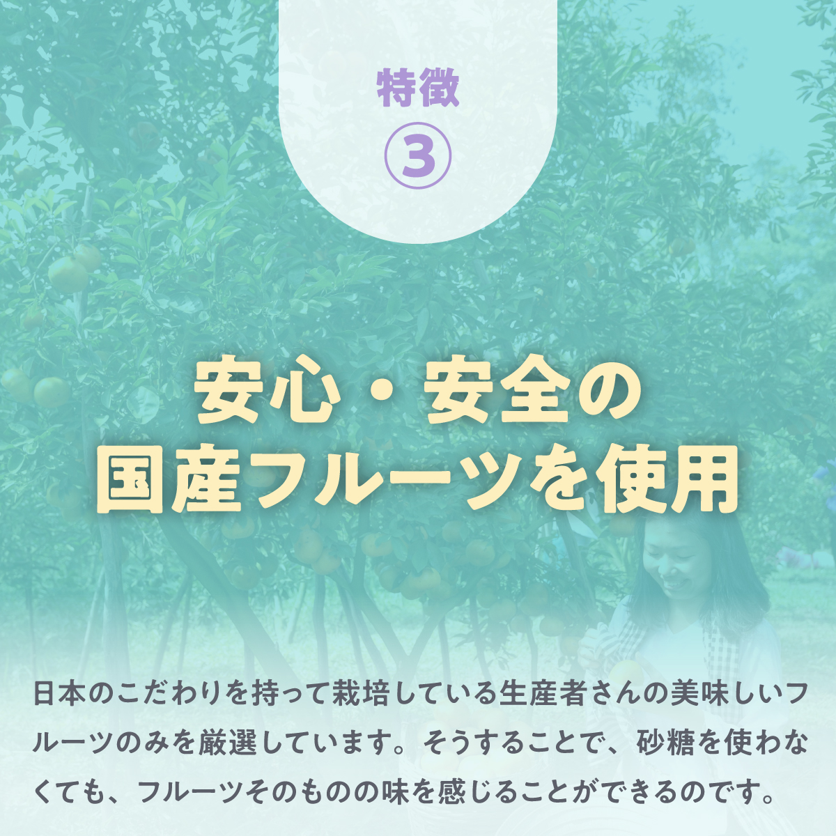 特徴③ 安心・安全の国産フルーツを使用 日本のこだわりを持って栽培している生産者さんの美味しいフルーツのみを厳選しています。そうすることで、砂糖を使わなくても、フルーツそのものの味を感じることができるのです。