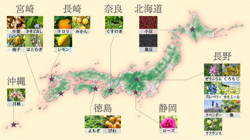 １．国産・無農薬の原料のみを使用