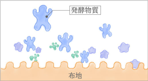 発酵物質が汚れを分解する役割をします。