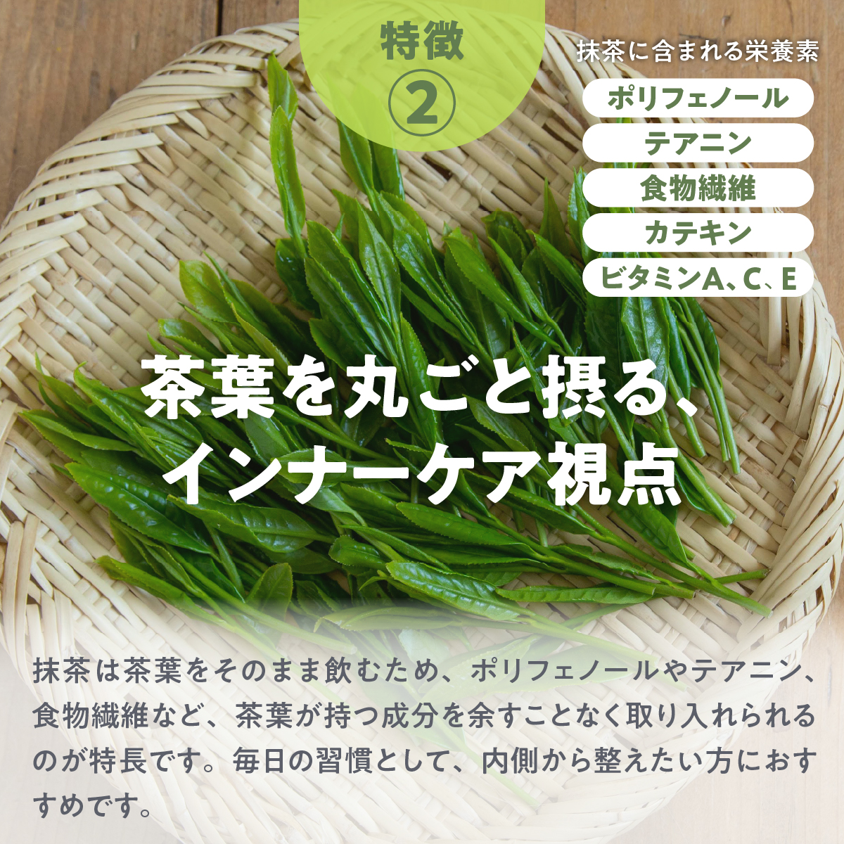 特徴２．茶葉を丸ごと摂る、インナーケア視点：抹茶は茶葉をそのまま飲むため、ポリフェノールやテアニン、食物繊維など、茶葉が持つ成分を余すことなく取り入れられるのが特長です。毎日の習慣として、内側から整えたい方におすすめです。抹茶に含まれる栄養素：ポリフェノール・テアニン・食物繊維・カテキン・ビタミンA・C・E