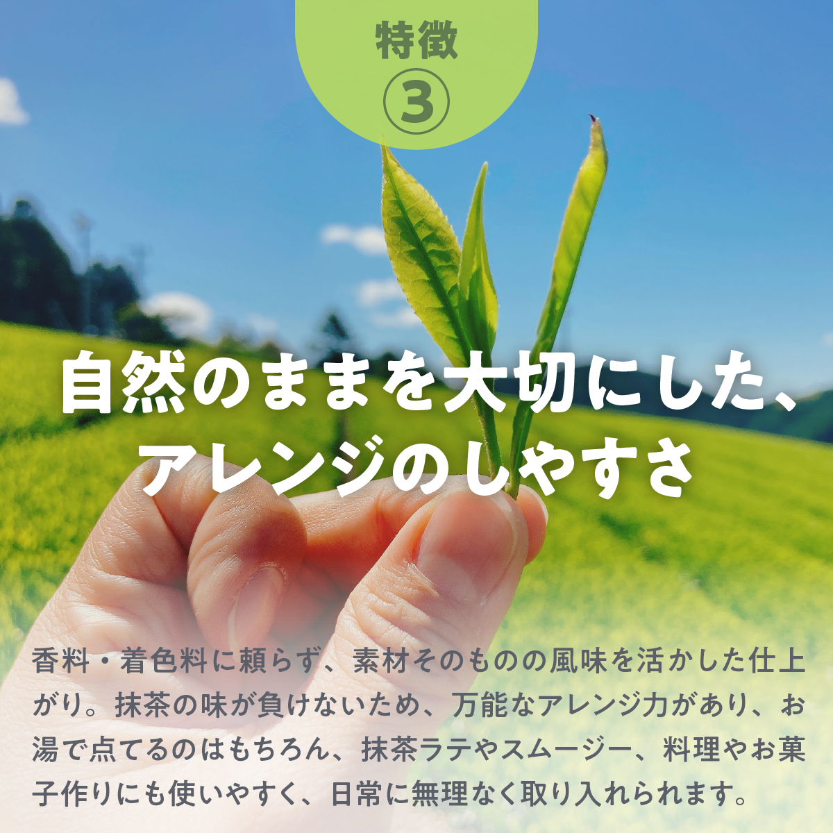 特徴３．自然のままを大切にした、素材のチカラ：香料・着色料に頼らず、素材そのものの風味を活かした仕上がり。抹茶の味が負けないため、万能なアレンジ力があり、お湯で点てるのはもちろん、抹茶ラテやスムージー、料理やお菓子作りにも使いやすく、日常に無理なく取り入れられます。