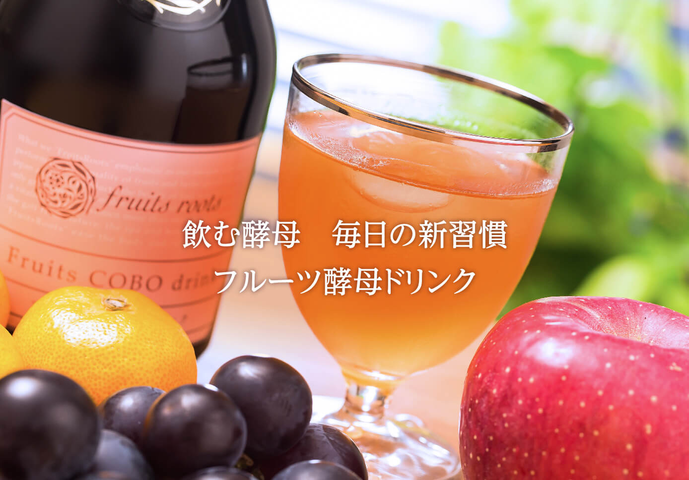 TBC 酵母ドリンク_525mL: TBCサプリメント｜TBCオンラインショップ